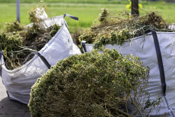 Shrubs Removal in Walnut Creek